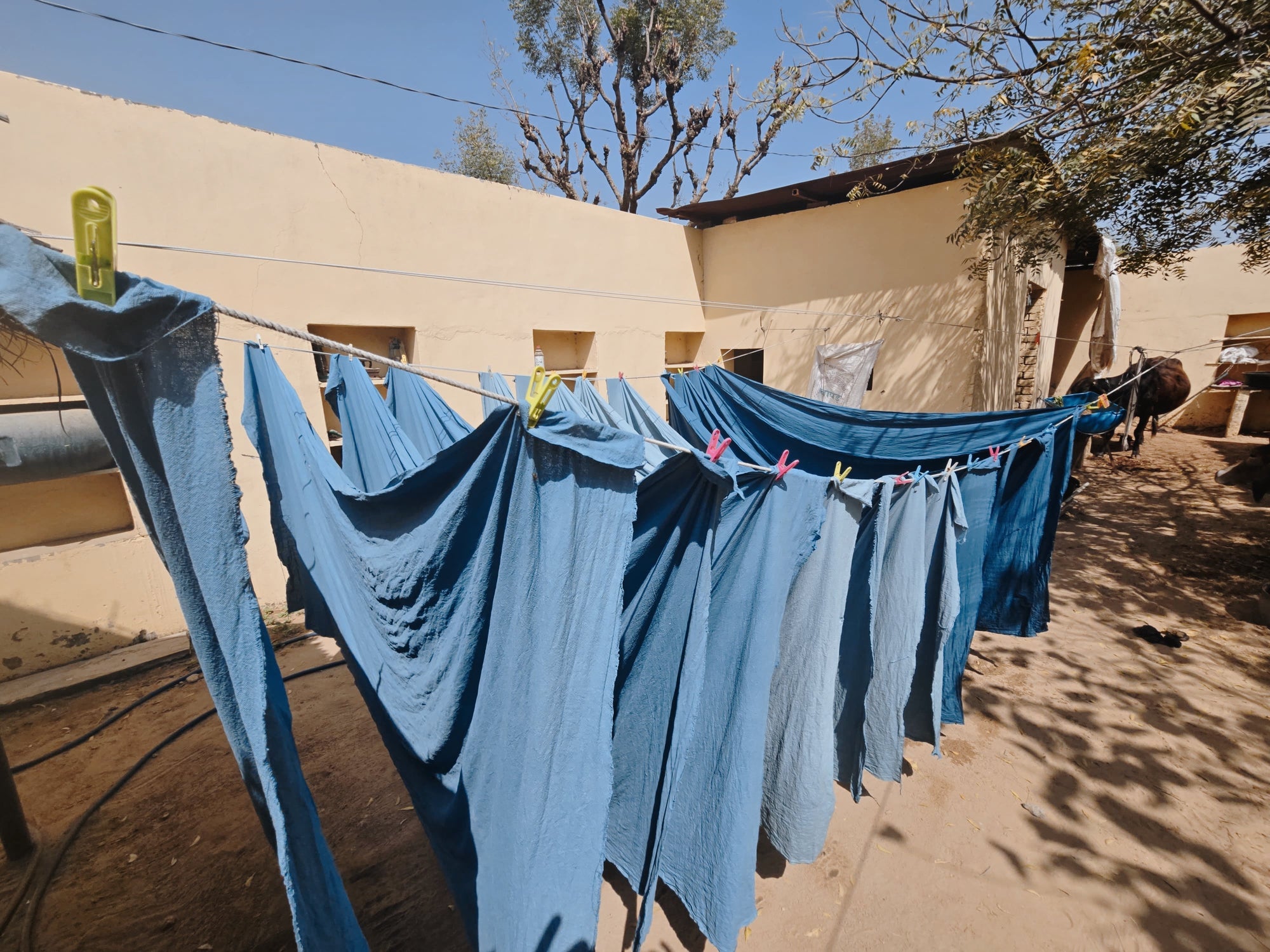 Sun Dried Textiles: A Reflection